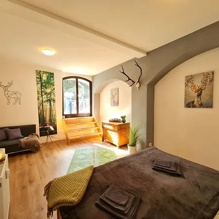 NEU: Großzügige Citywohnung mit XXL Dachterrasse! Freiberg Exterior foto